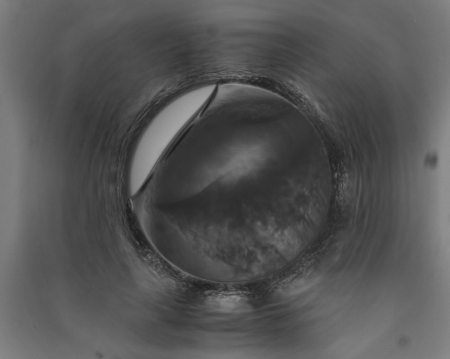 X0000091080643200708201434