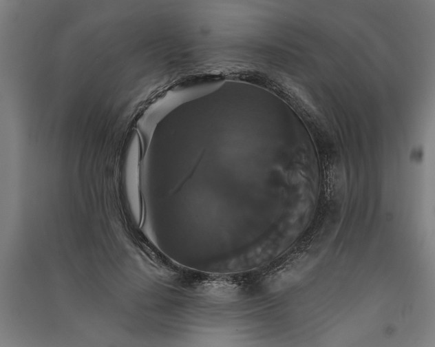 X0000091080644200708201434