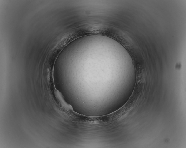 X0000091080646200708201434