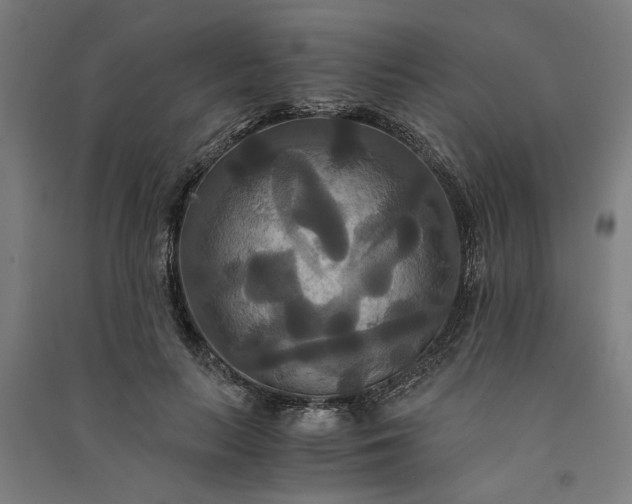 X0000091080647200708201434