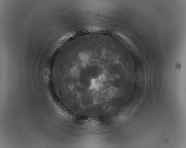 X0000091080648200708201434