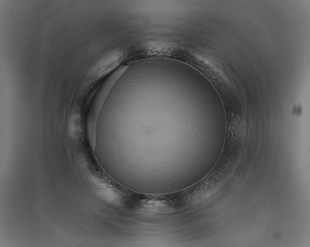 X0000091080649200708201434