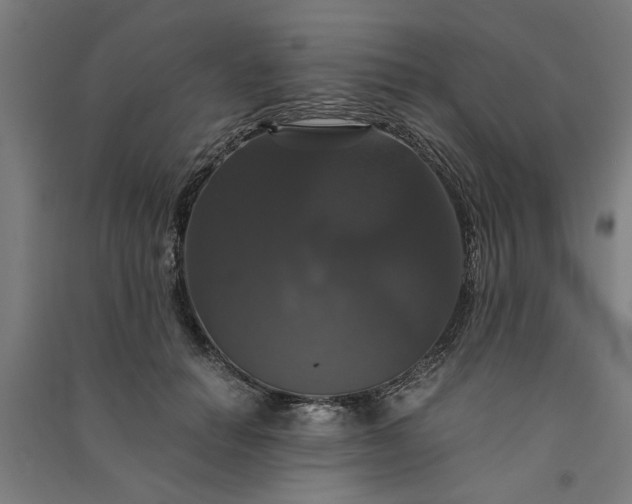 X0000091080654200708201435