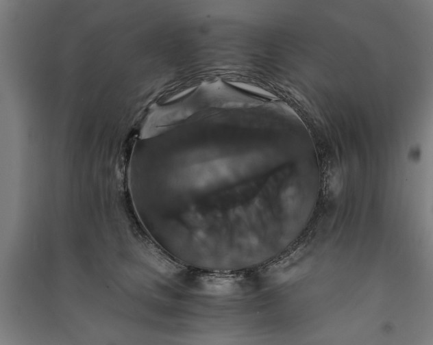 X0000091080661200708201435