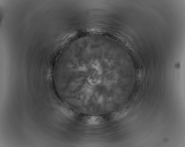 X0000091080663200708201435