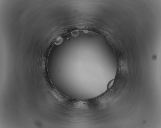 X0000091080664200708201435