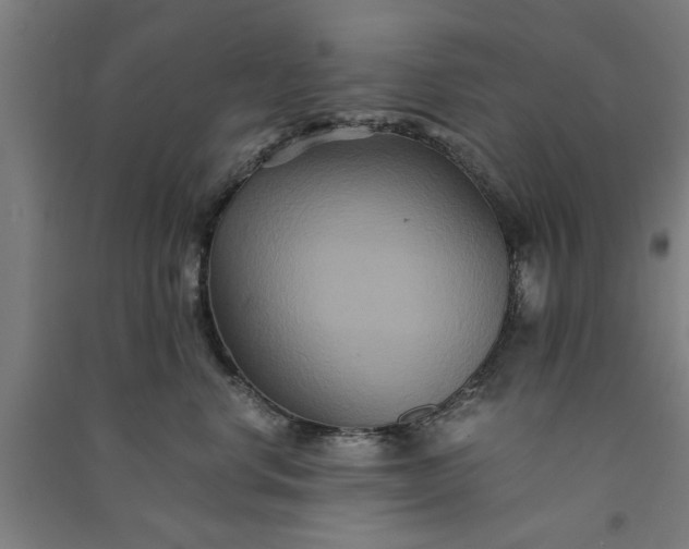 X0000091080668200708201435