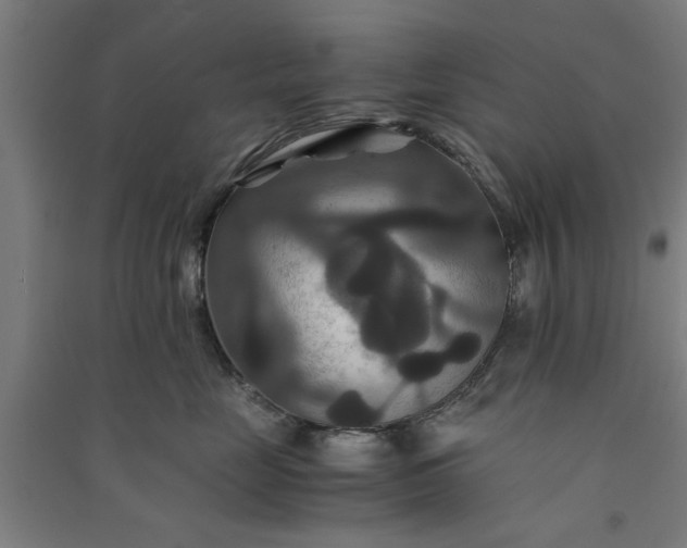 X0000091080669200708201435