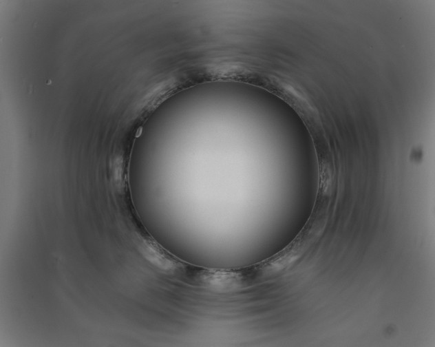 X0000091080670200708201435