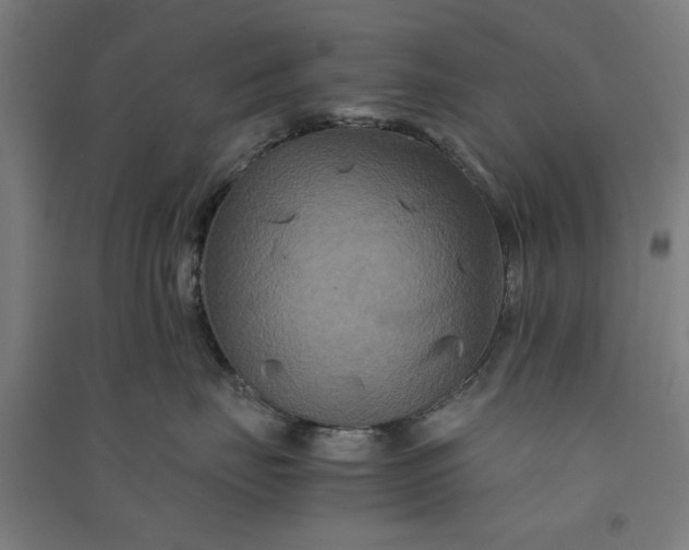 X0000091080671200708201435