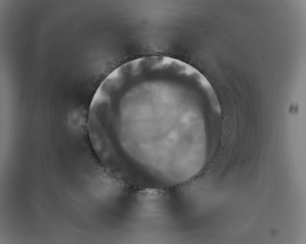 X0000091080672200708201435