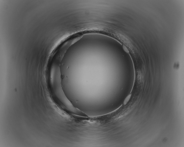 X0000091080676200708201434