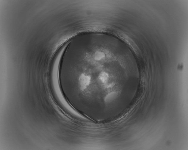 X0000091080677200708201434