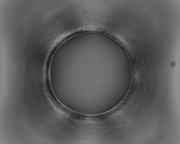 X0000091080678200708201434