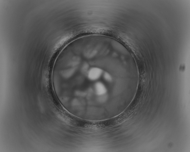 X0000091080679200708201434