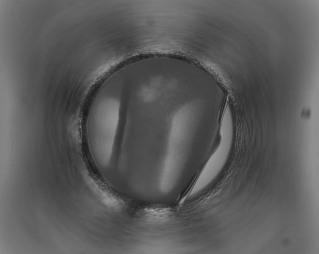 X0000091080680200708201434