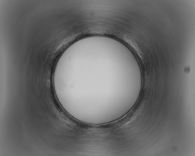 X0000091080681200708201434