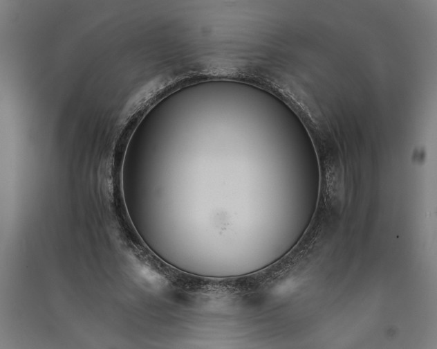 X0000091080682200708201434