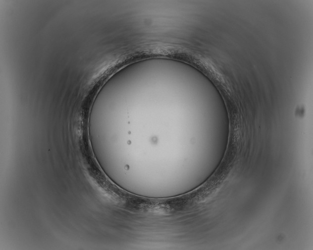 X0000091080683200708201434