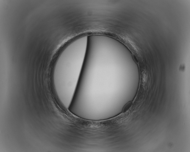 X0000091080684200708201434