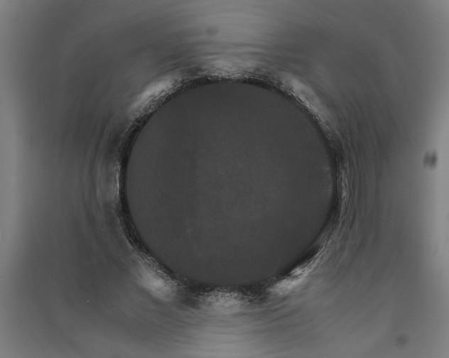 X0000091080685200708201434