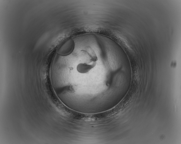 X0000091080687200708201434