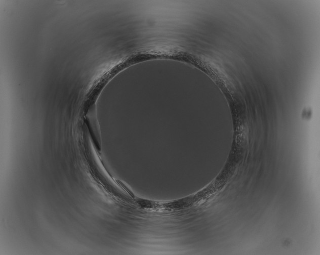 X0000091080688200708201434