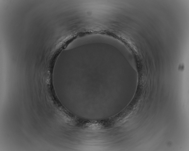 X0000091080689200708201434