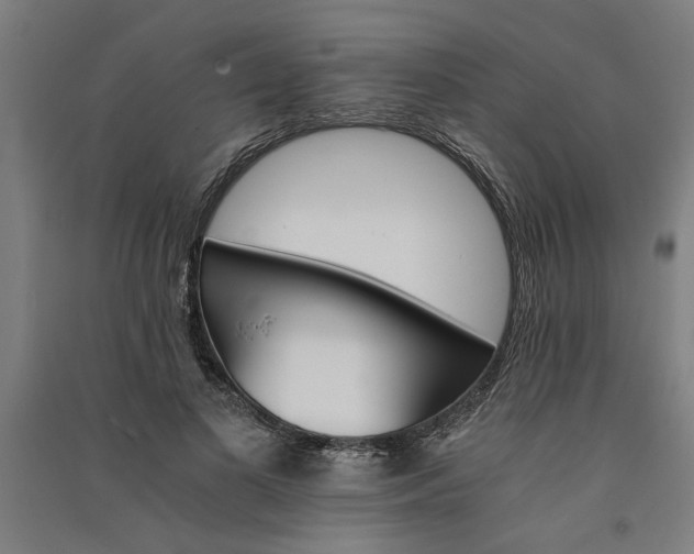 X0000091080693200708201434