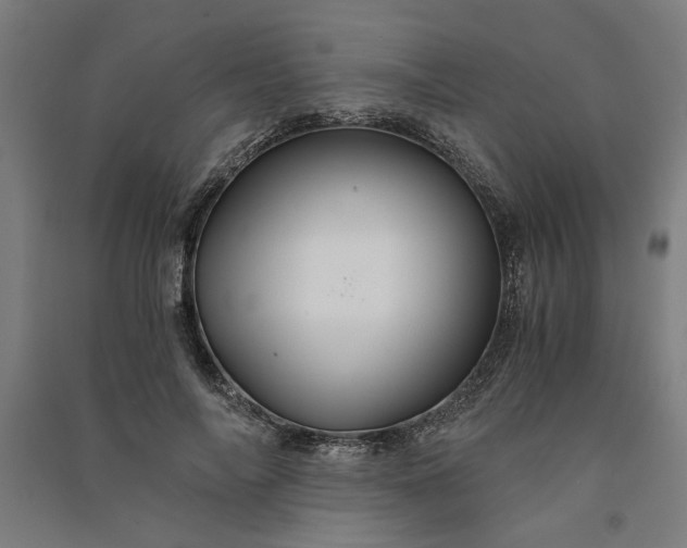 X0000091080694200708201434