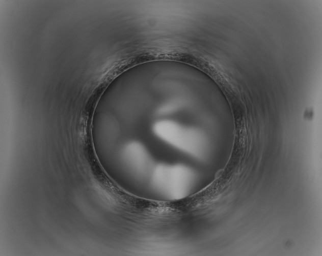 X0000091080695200708201434