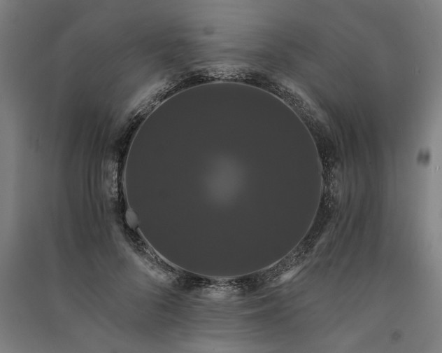 X0000091080696200708201434