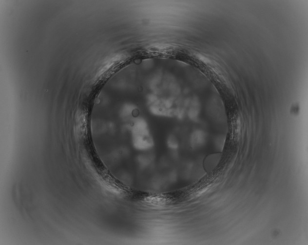 X0000091080699200708201434