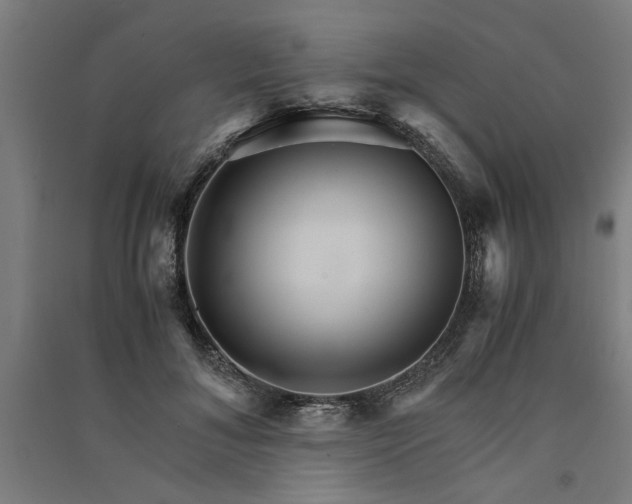 X0000091080700200708201434