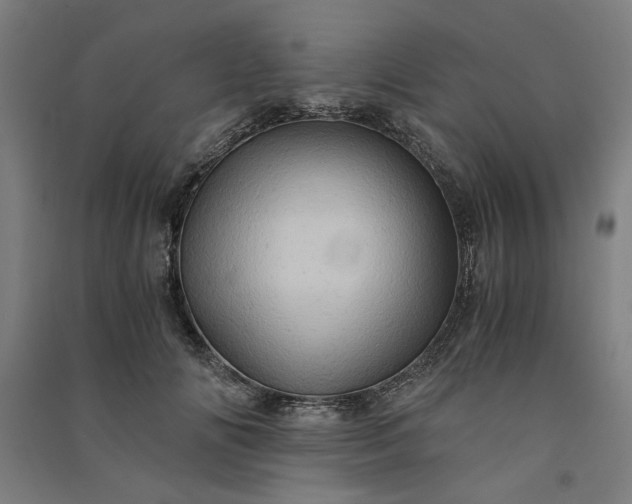 X0000091080702200708201434