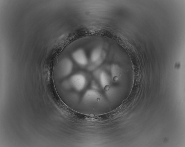 X0000091080703200708201434