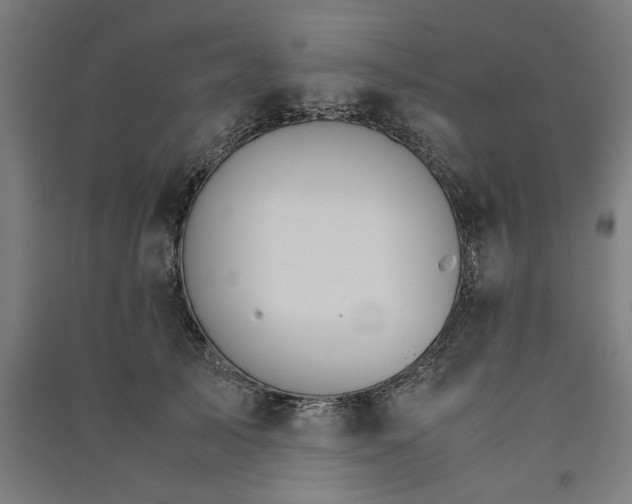 X0000091080705200708201434