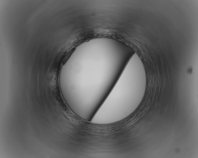 X0000091080708200708201434