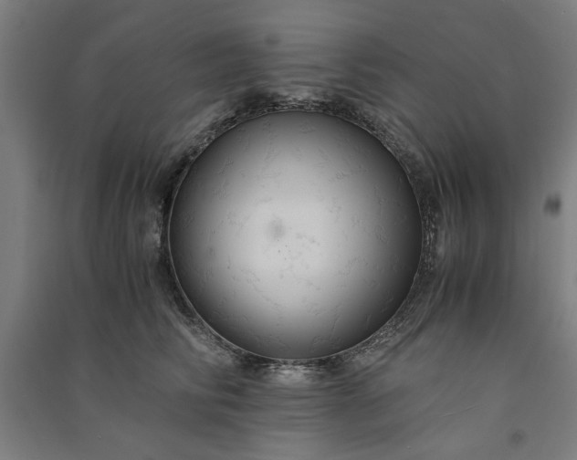 X0000091080710200708201434