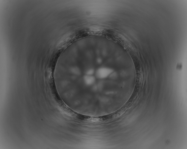 X0000091080711200708201434