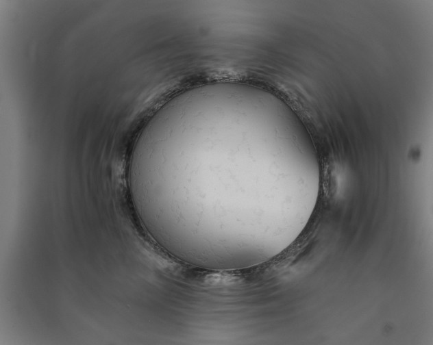 X0000091080714200708201433