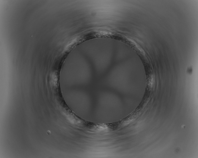 X0000091080715200708201433