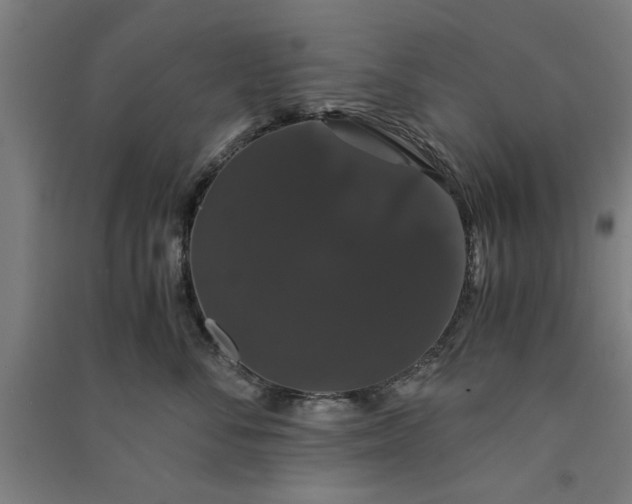 X0000091080716200708201433