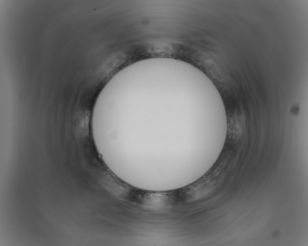 X0000091080717200708201433