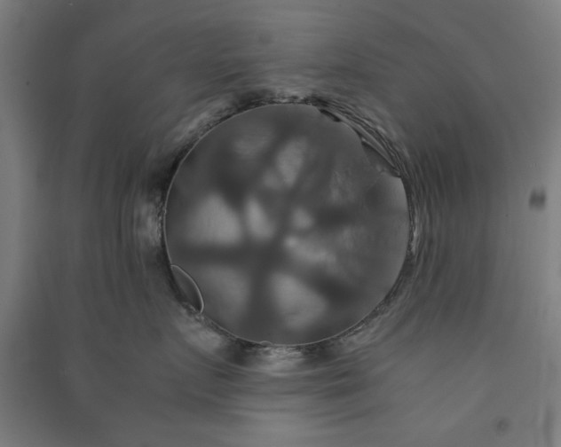 X0000091080719200708201433