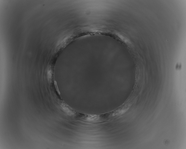 X0000091080720200708201433