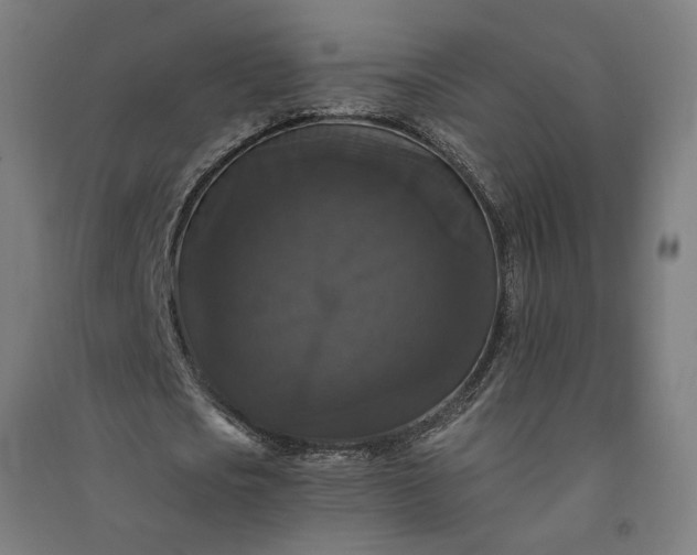 X0000091080721200708201433