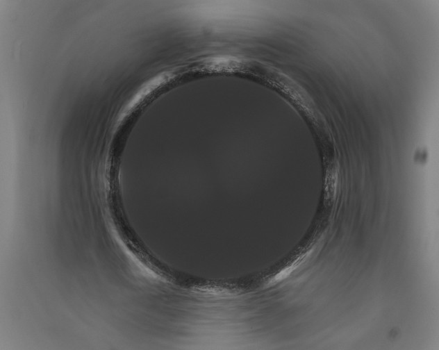 X0000091080722200708201433