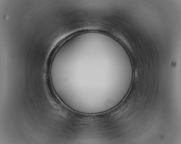 X0000091080724200708201433