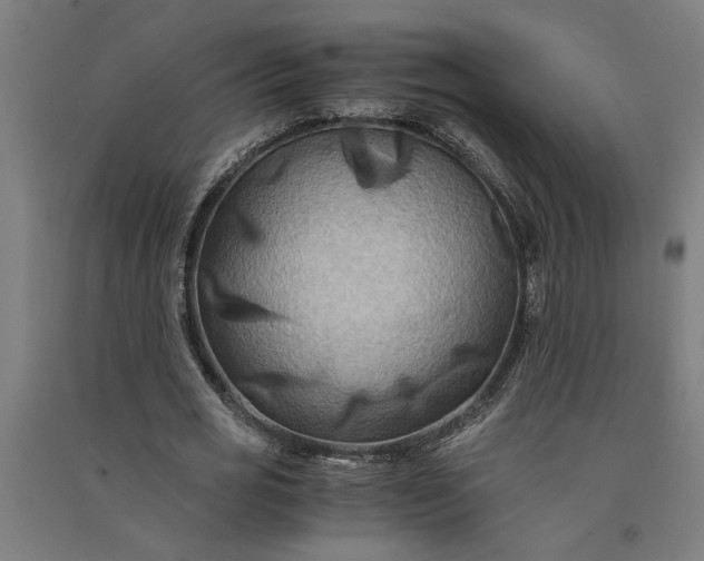 X0000091080725200708201433